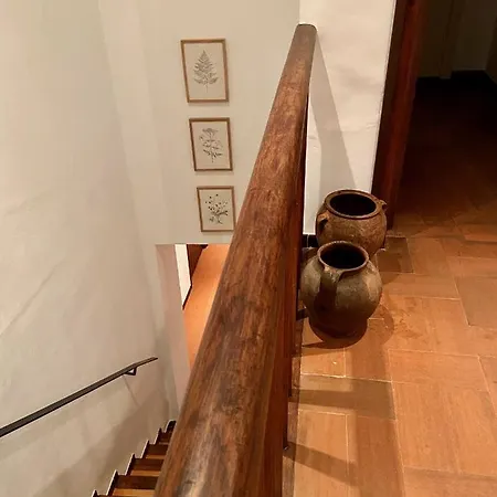 Ecoturisme Mas Ribas Отель