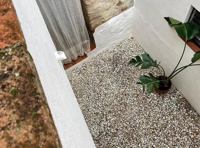 Отель Ecoturisme Mas Ribas Паламос